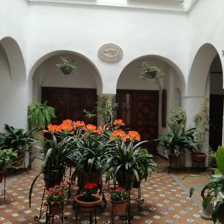 Apartamentos Torre De La Mezquita Cordoba Dış mekan fotoğraf